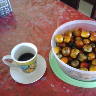 Pupunha com café